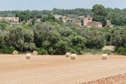 Petit Hotel Rural Son Jordá